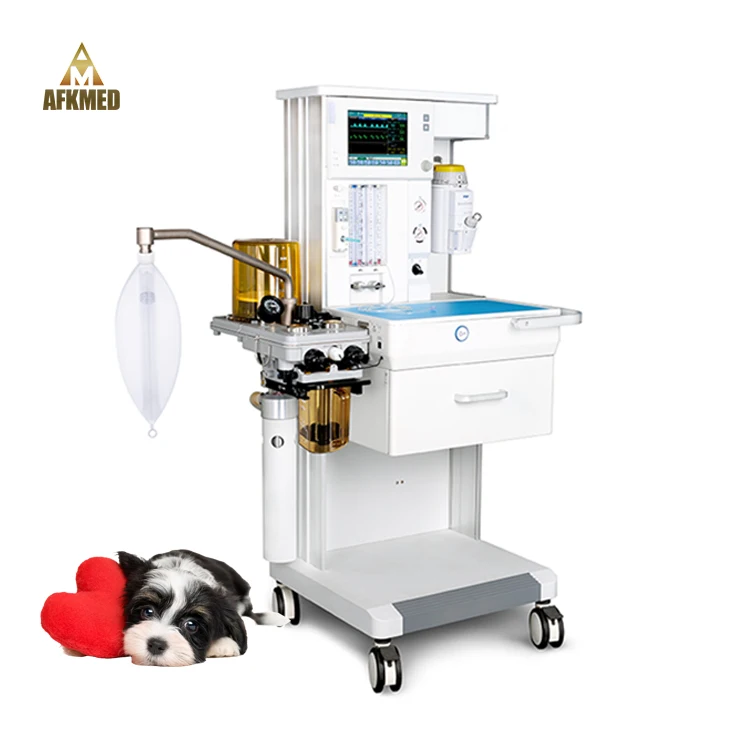 Veterinary small animal clinic use anesthesia anaesthesia machine