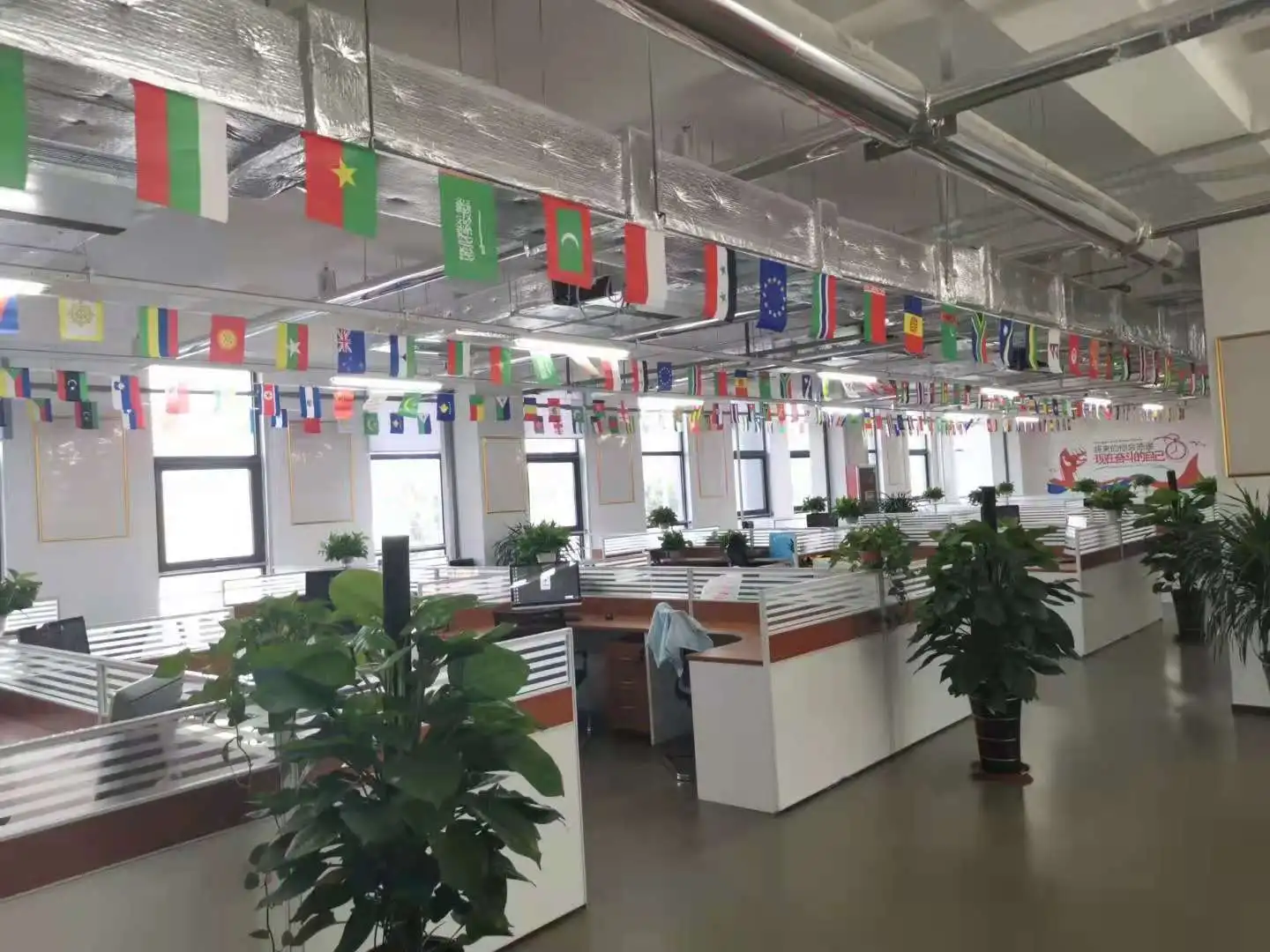 Professional manufacture TANNIC ACID CAS 1401-55-4 from factory