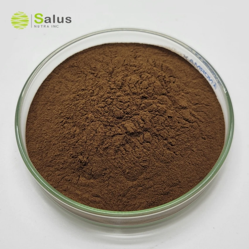 Заводская оптовая продажа OEM Private Label Reishi грибной кофе