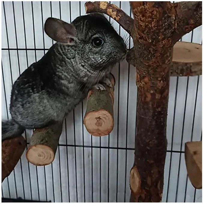 Hamster Chew Toys Teeth Wood Chew Sticks Stands Perches Squirrels Rabbits Cage Supplies Platform Stand Birds Parrot climbing toy