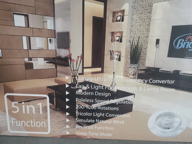 ceiling  fan  with  light