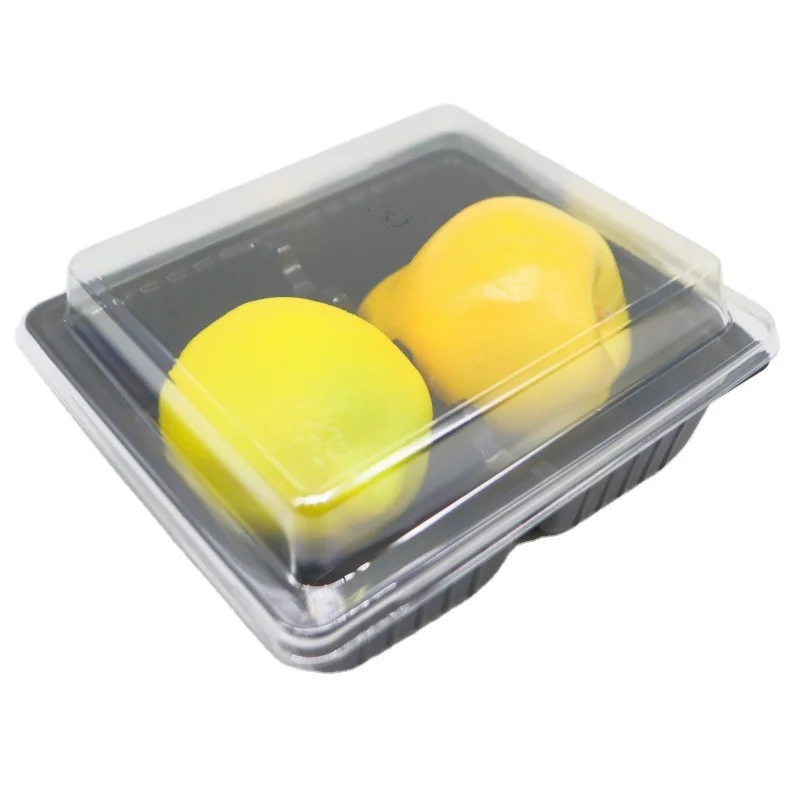 plate machine frozen food plastic tray customized packing sushi box with lid