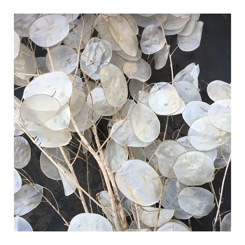 Yunnna Cheap Real Wedding Dried Flower Bouquet Dried  globe amaranth Flower Gomphrena Globosa