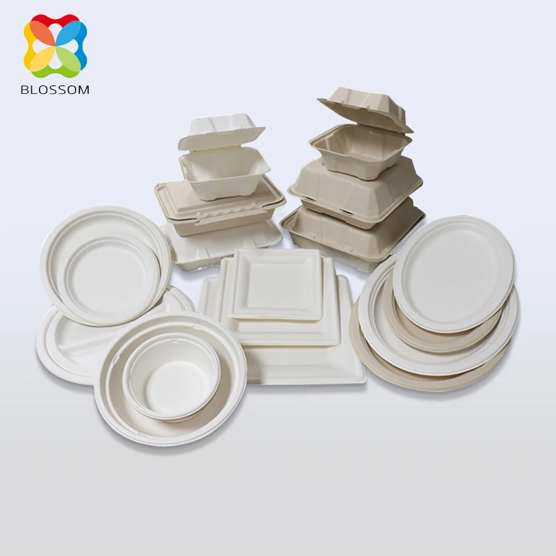 Food Grade PLA 100% Biodegradable Compostable Disposable Bagasse Takeaway Tray Tableware