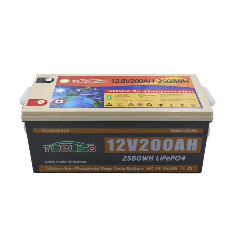 RV camping car motorhome Caravan battery For Deep cycle 12V 24V lifepo4 battery pack 12.8V 200ah 100ah Lifepo4 battery
