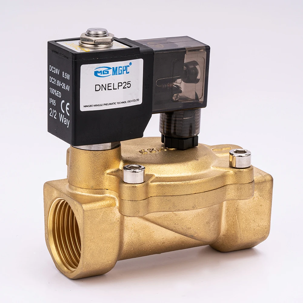DNELP series 2/2 way Brass Solenoid Valve 16bar 12V 24V 220V Water Valve