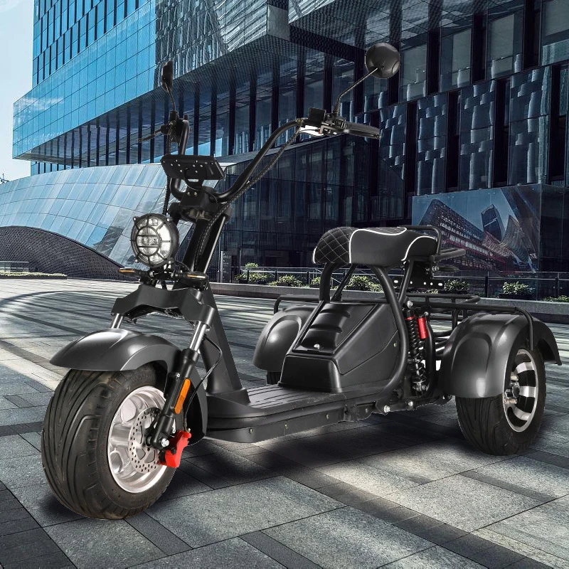 Competitive Price Wholesale 2000W Adult Three Wheels Electric Tricycle