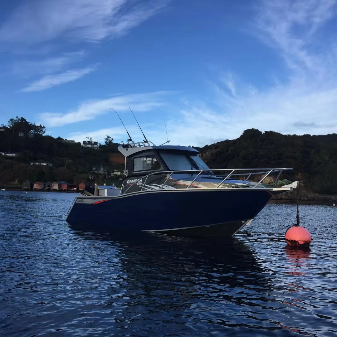 6m/21ft Profisher Gospel Aluminum Fishing Boat For Day Trip Hot Sale Australian and New Zealand