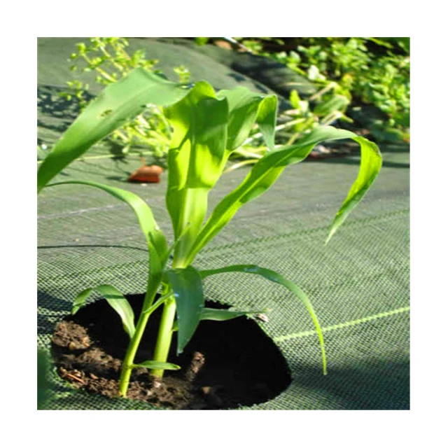 cheap weed control fabric plastic mulch layer mulching plastic agricultural weed mat ground cover Weed Barrier Fabric