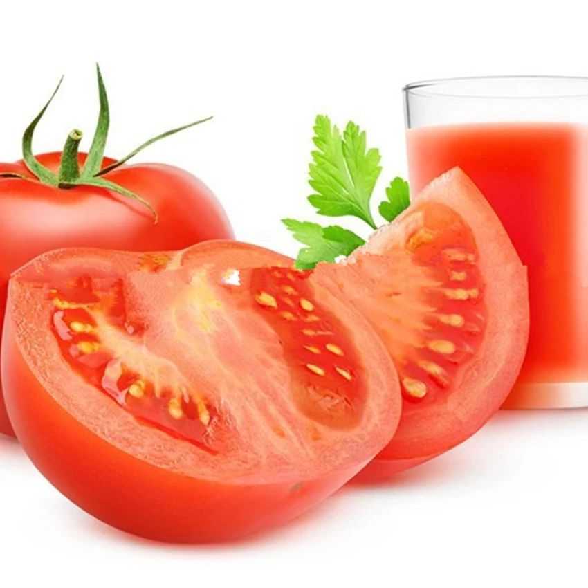 100% натуральный высушенный томатный порошок по лучшей