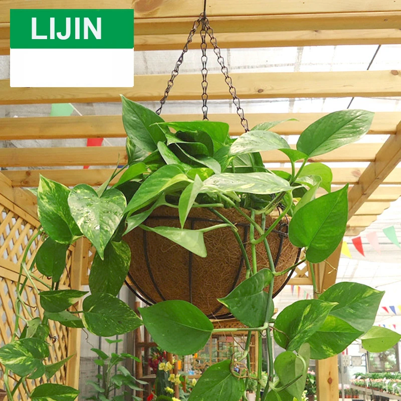 Coconut Fiber Wall-mounted Hanging Basket Flower Plant Basket