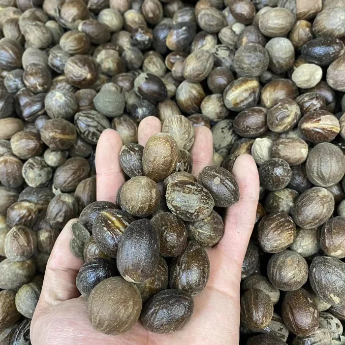 China spices supplier wholesales high-quality natural spices whole nutmeg round cardamom