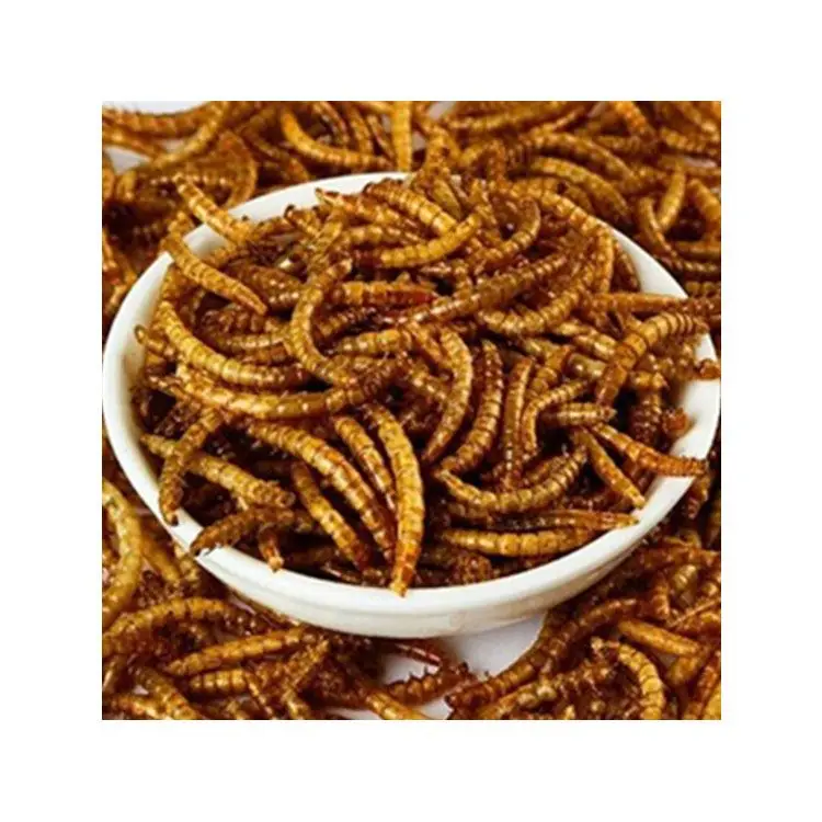 Fully stocked high nutrition high protein animal feed dried mealworms