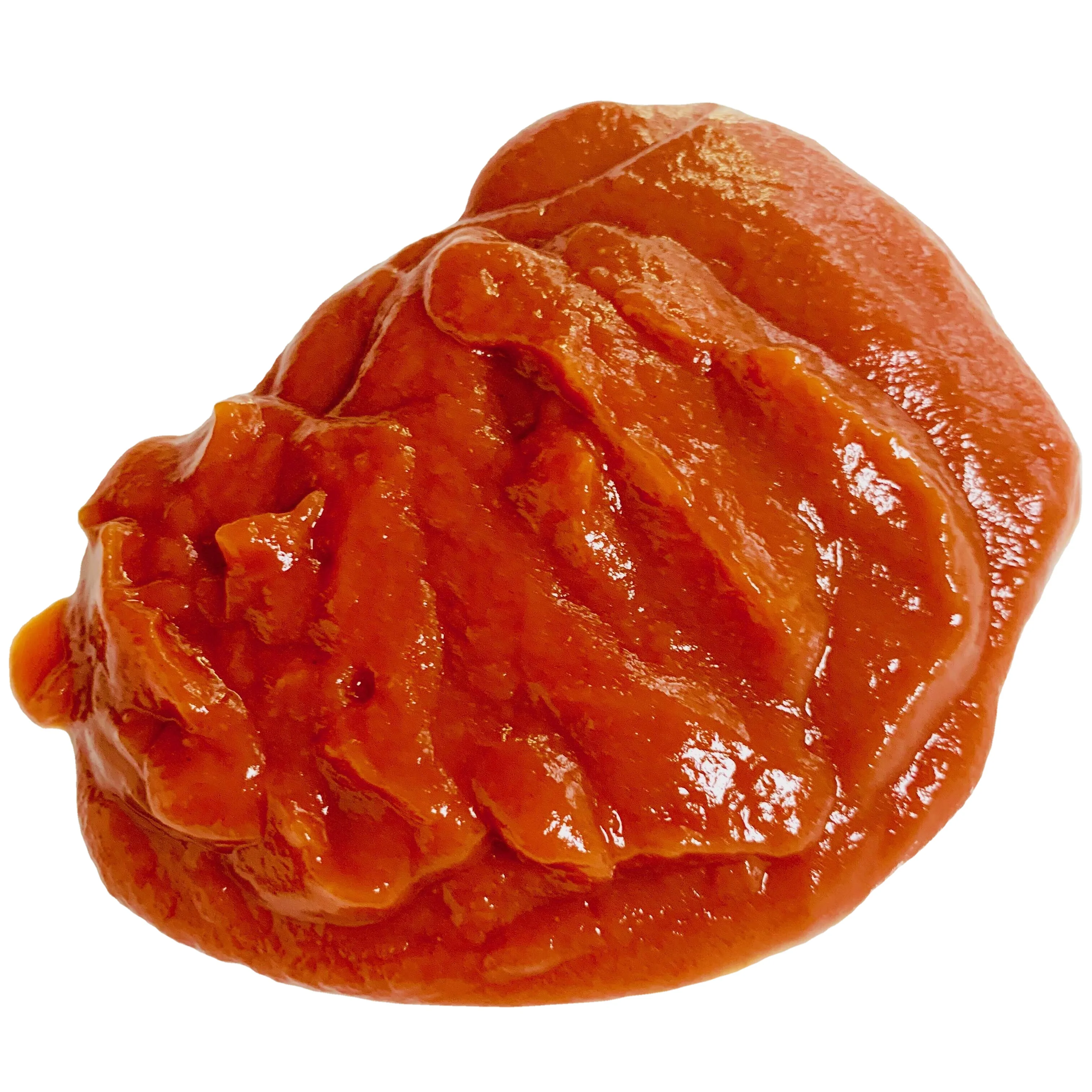 factory price hot selling tomato sauce 12% 15% Ketchup in doy-pack sachets