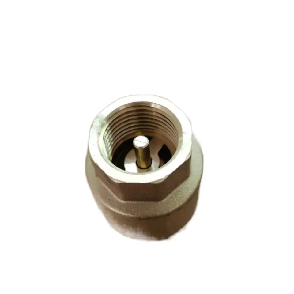 1/2 Inch Brass Spring Loaded Check Valve with Brass Core