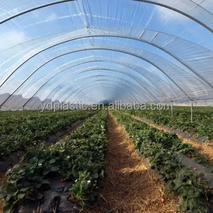 PE Sun Proof Anti-Fog Anti-UV Greenhouse Film