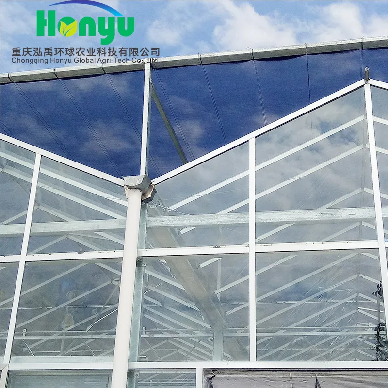 Multi-span Invernadero  Green House For Agricultural Greenhouse with aquaponic system