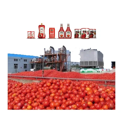 Industrial turnkey solution dried tomato powder production line of tomato puree