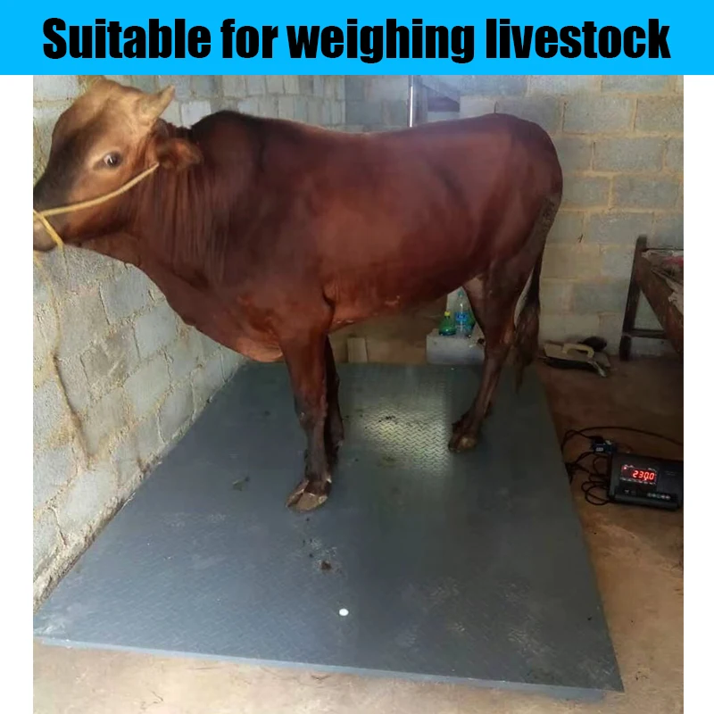 Customized electronic weighbridge 1-10T Manufacture Truck Scale Weight Bridge Scale for Weighing Truck platform scale