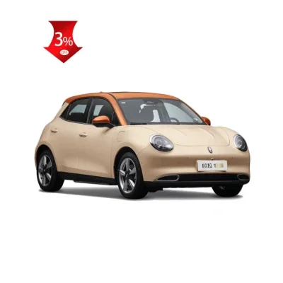 China Supplier Hot Sale Cheap Mini EV Cars New Energy Vehicles for Adults