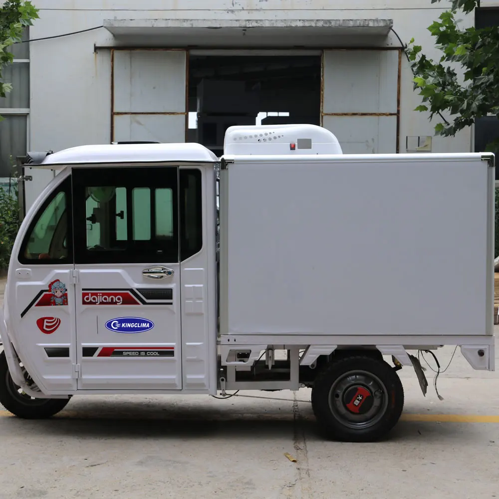 Cheap tricycle refrigeration unit roof top 12 v 24v electric refrigerated cargo refrigerator van tricycle