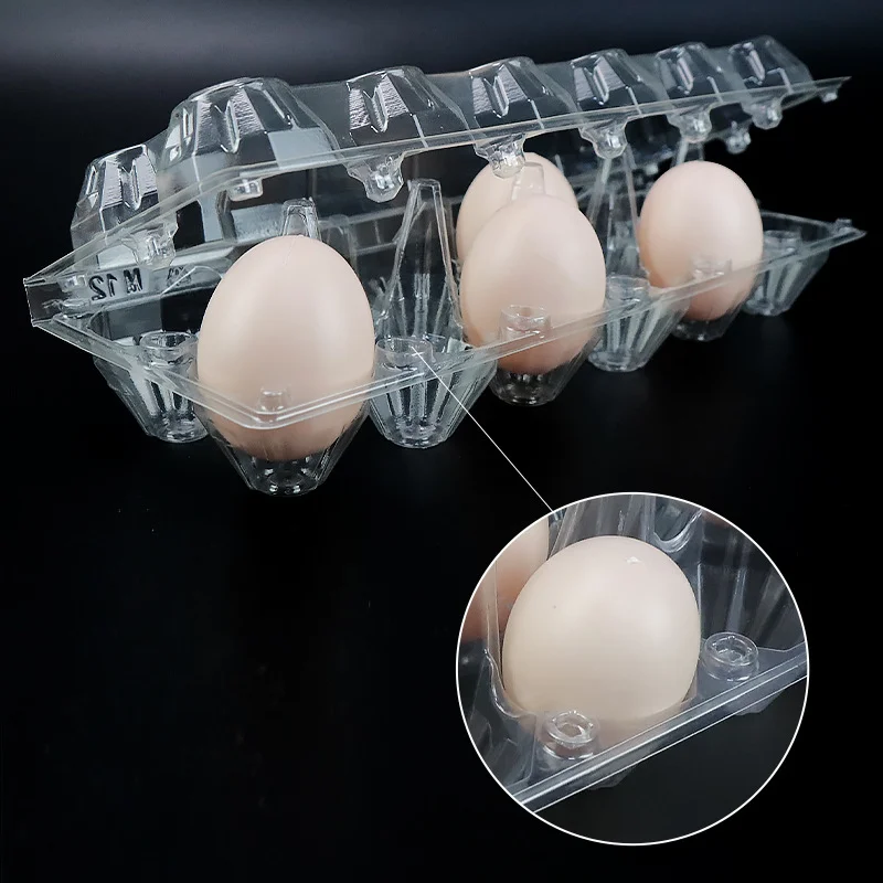 Reusable Clear Plastic Egg Tray Carton holds Packaging for Chicken Farm