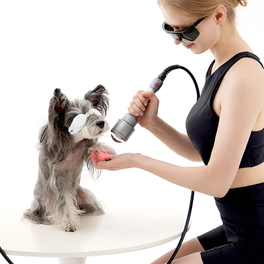 Smart ICE Laser Therapy Machine 30w-60w Class 4 Animals Laser Physiotherapy Treatment For Swelling Reduction And Pain Management