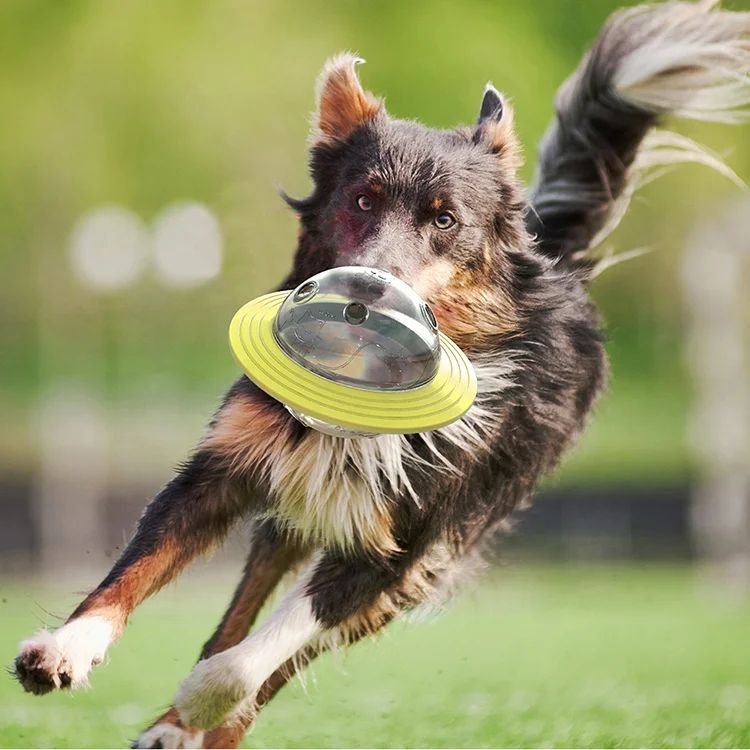 
Free Sample Customizable 4 in 1 Pet Toy Planet Leakage Food Ball Puzzle Pet Interactive Dog Toy 