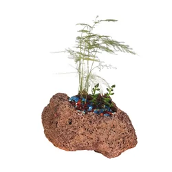 Home Lava Stone Flower Pot