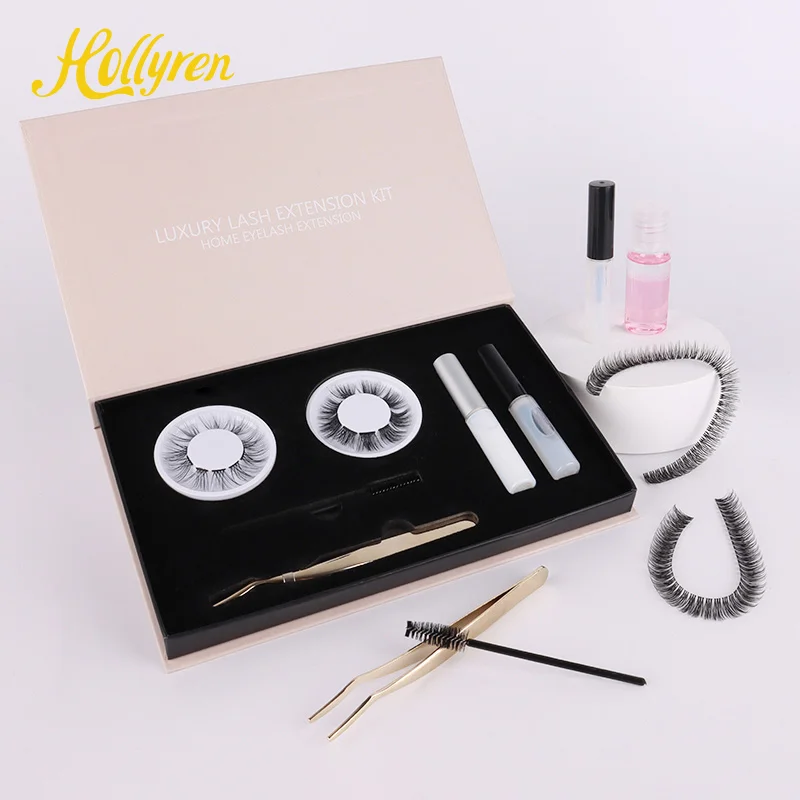Hollyren Wholesale Segmented Eyelashes Kit Superfine Band Cluster Glue Selaer Applicator Diy Lash Extension Kit Oem Available