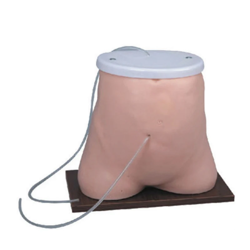 SC-L64 Peritoneum Dialysis Medical Models for Hospital Collage Teaching