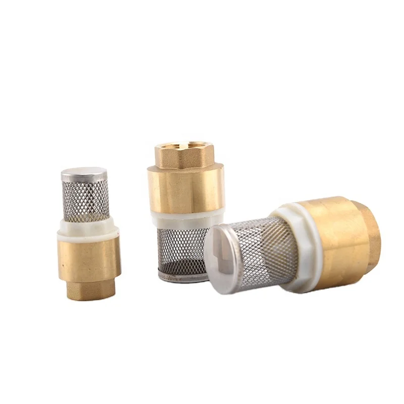 BT5003 China supplier online shop cheap price brass spring check valves with ss wall