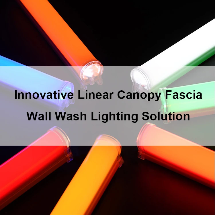 OEM&ODM 290mm/600mm/1186mm/2370mm Neon Inspired Tube Led Neon Strip Lamp Light Waterproof DC24V 8W