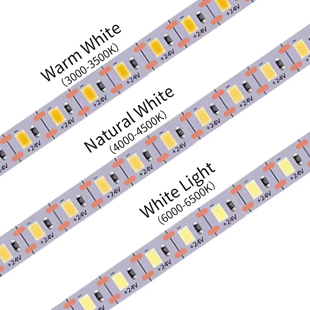 3 years warranty factory wholesale DC12V 24V high lumen 60 120 180 240leds can be customized waterpoof SMD 2835 led strip light