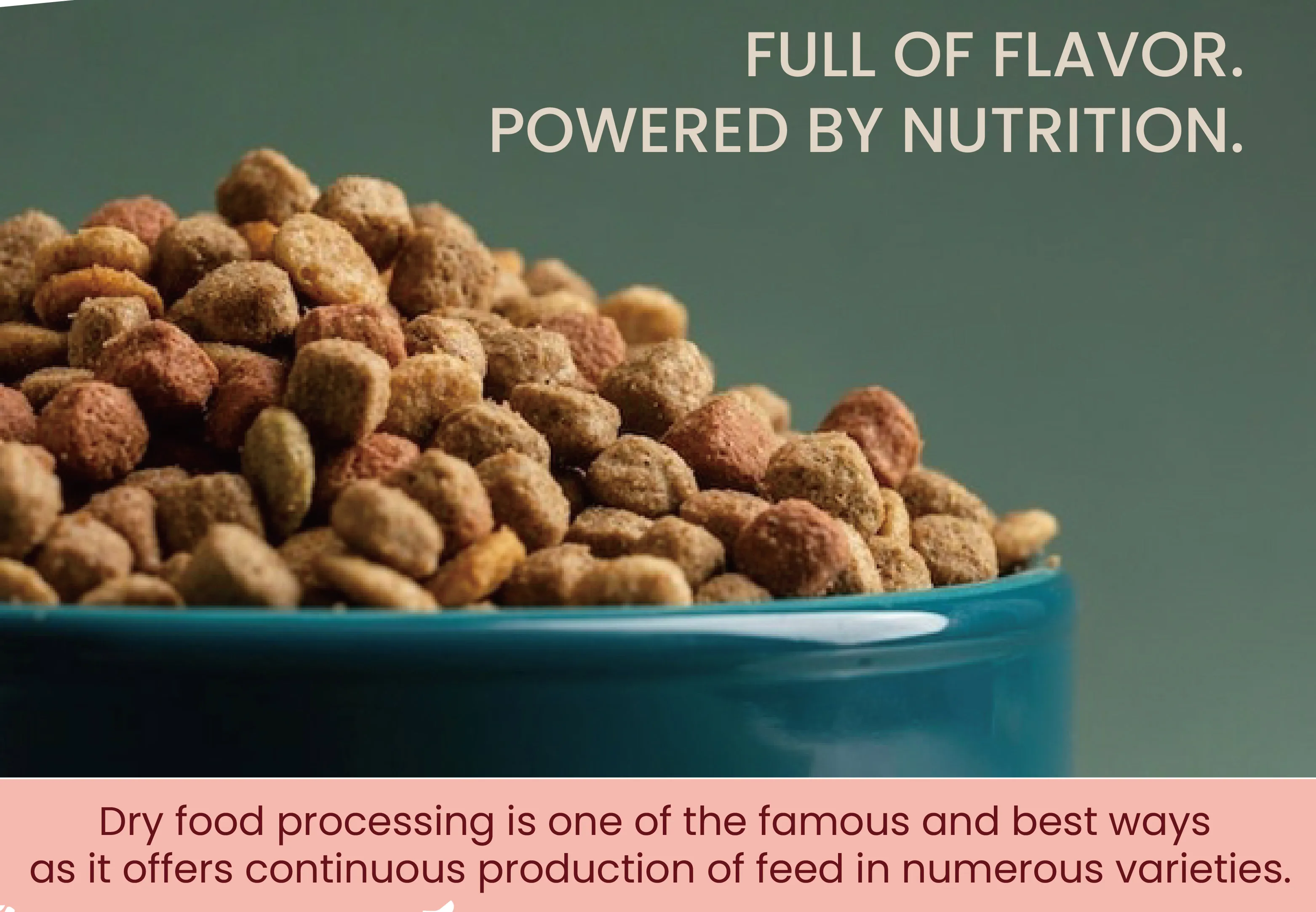 OEM ODM Chinese Various Flavors Multiple Shapes 18% Protein Content Dry Pet Food