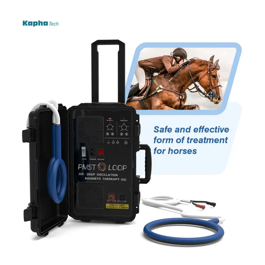 Physiotherapy Machine PMST LOOP With Single Loop And Butterfly Loop For Horse Rehabilitation Easy To Use