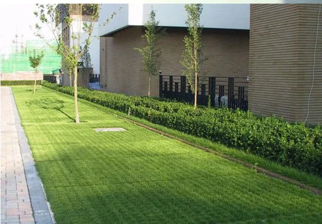 Plastic Grass Paver / landscape turf grass paver / grass grid for driveway