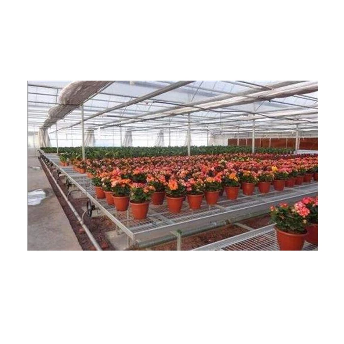 Agriculture rolling bench seedling bed