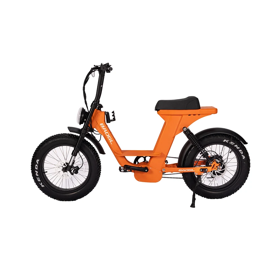 Safeway 20inch alloy frame folding bike Electric Folding Bike 24inch Europe Pedal Assist Foldable Bicycle Ebike Electric Bicycle