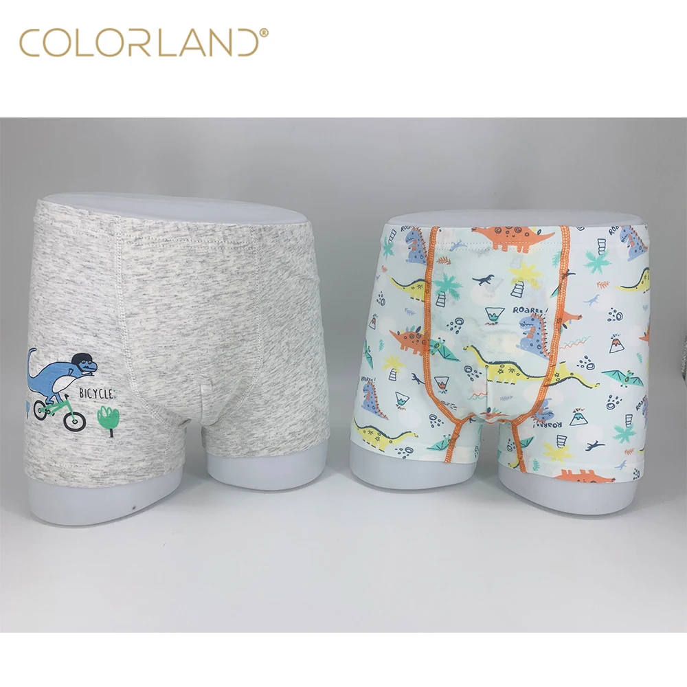 
Colorland Baby Short Pants Undies 2 Pieces Pack Cotton Boxer Briefs for Kids  (1600140688927)