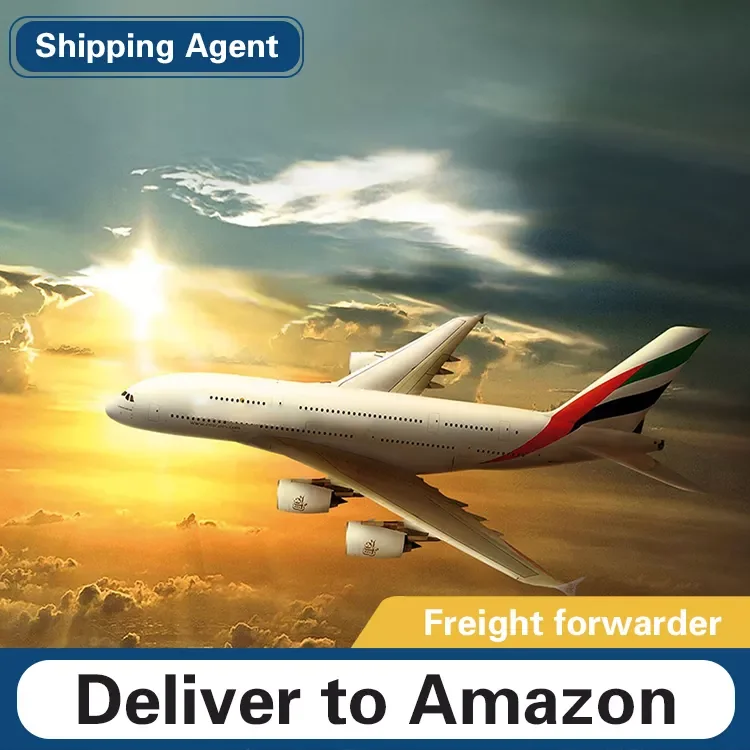 DDP/DDU forwarder Sea Freight china to pakistan/usa USD/RMB agency