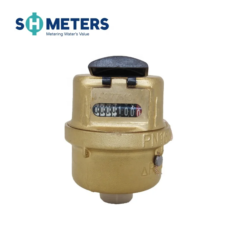 DN15~DN40 Class C Horizontal Water Meter for Residence Brass Body Reed Switch Screw Type Dry Dial OEM,ODM