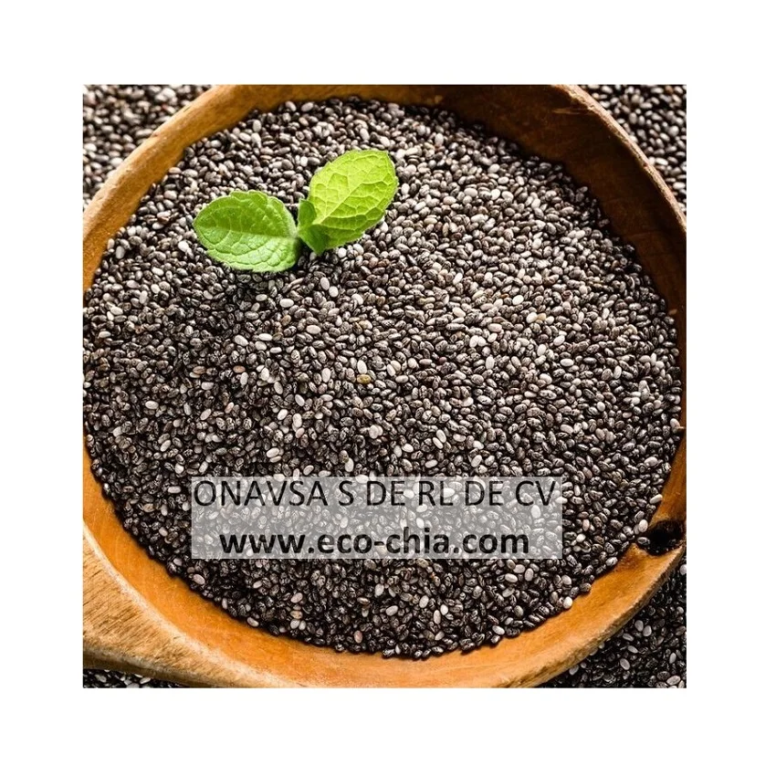 
Hot Selling Certified Chia Organic Seeds From Mexico For Wholesale 