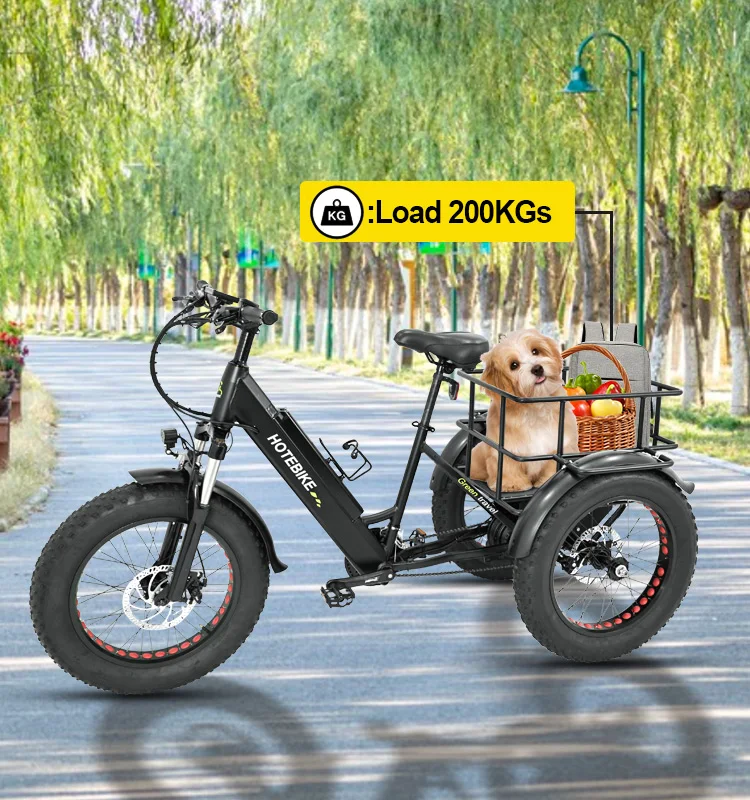750W 500W Lithium Battery Ebike 20*4 Inch Fat Tire Three Wheel Electric Tricycle With Rear Basket 3 Wheel Electric Cargo Bike