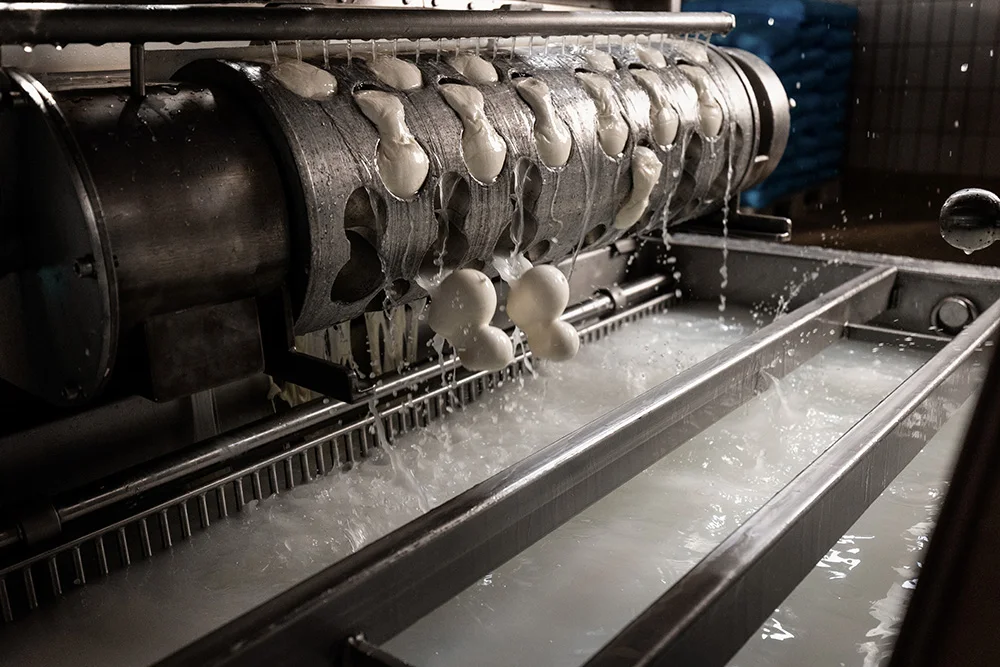 Made In Italy Milky White Color Lactose-Free Full-Bodied Mozzarella Cheese Use Selected Lactic Ferments