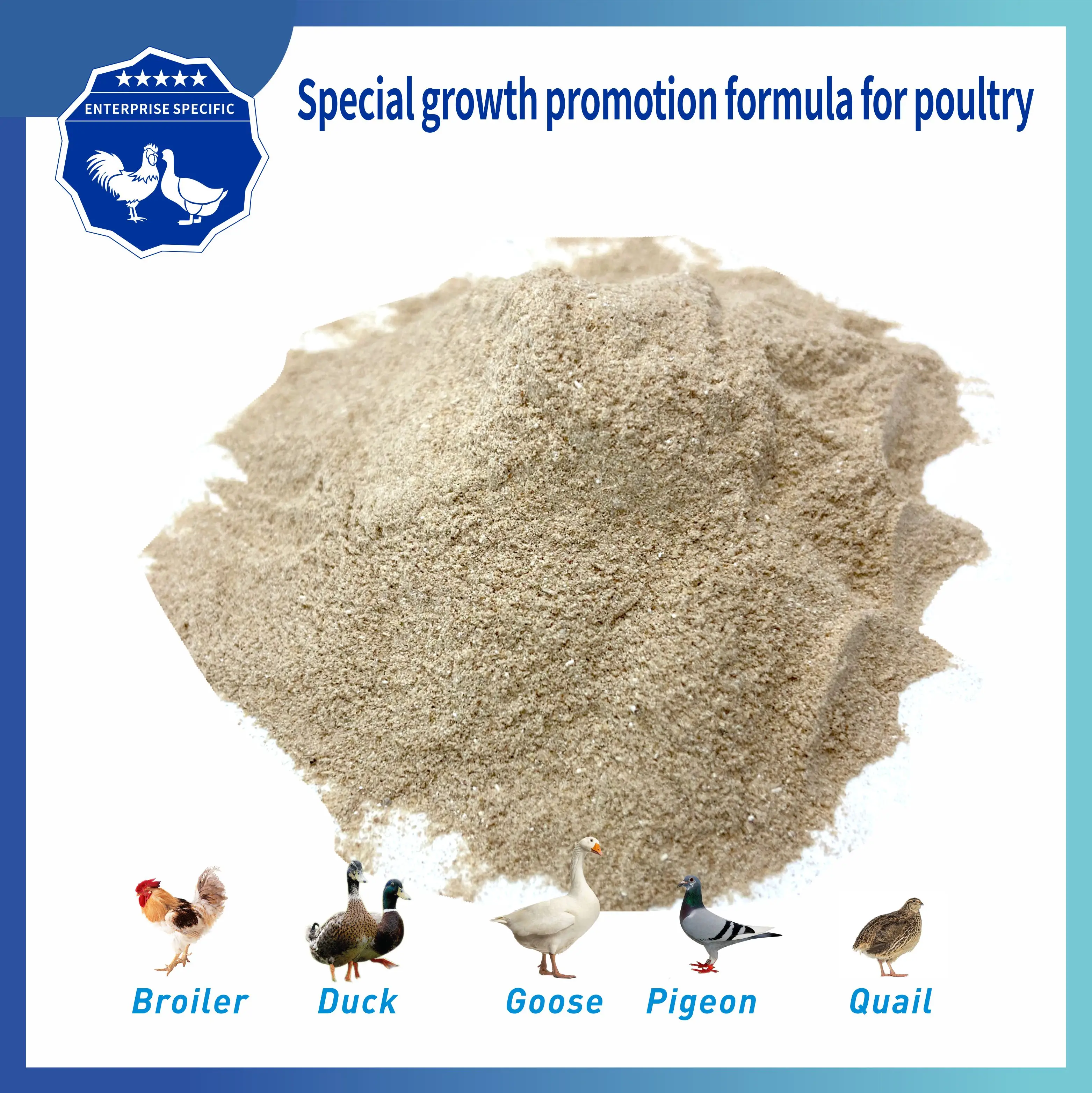 Improve poultry  broiler production performance special animal feed additives