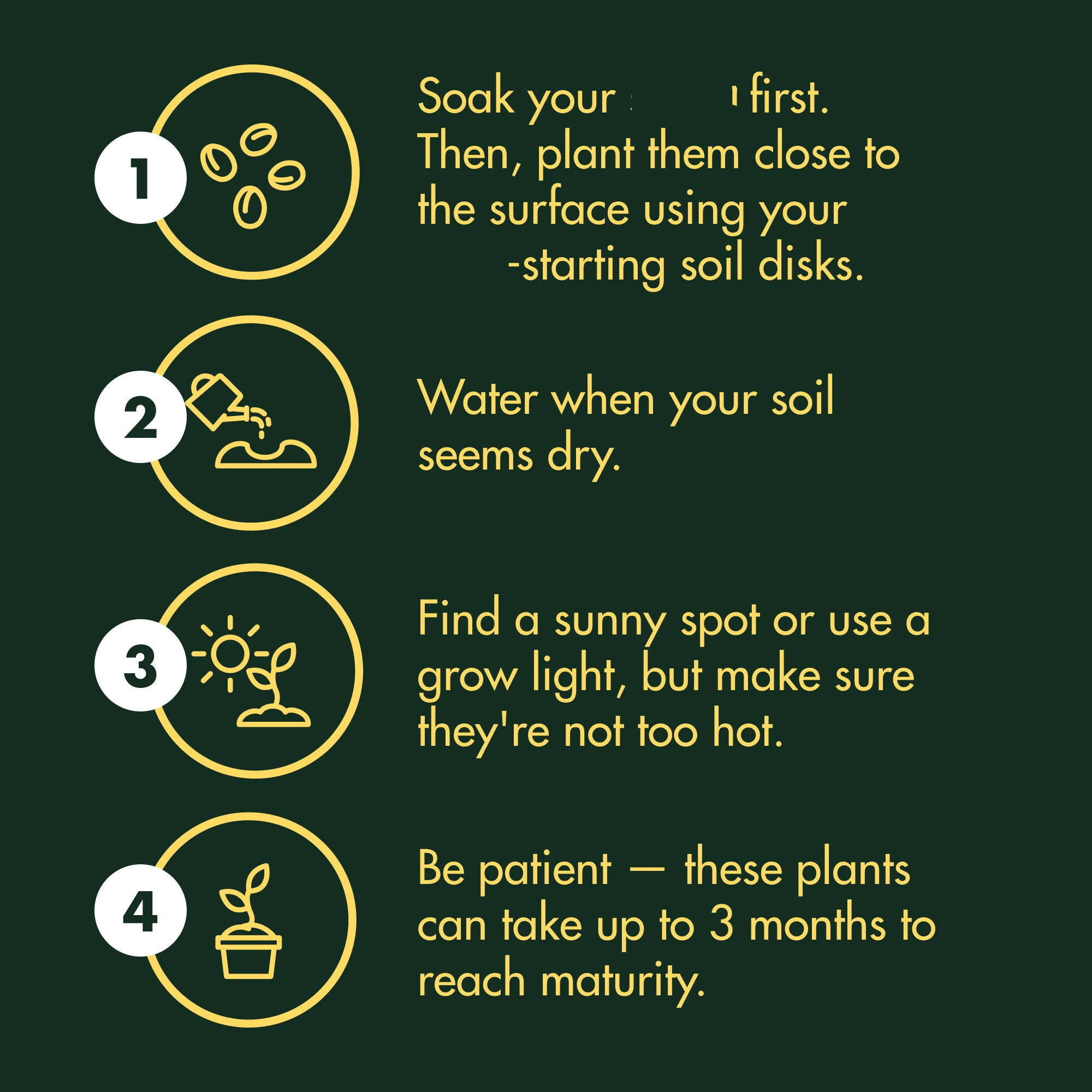 Radish Golden Beets Red Lettuce  Lemon Cucumber fruit and vegetable garden vegetable hydroponics grow cabinet herb starter kit