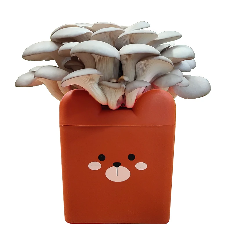 
Direct wholesale high-quality fresh mushroom mushroom cultivation barrel 