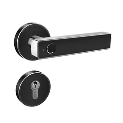 Safes Anti Theft BLE WiFi APP Fingerprint Key Electrical Lever Door Handle Lock