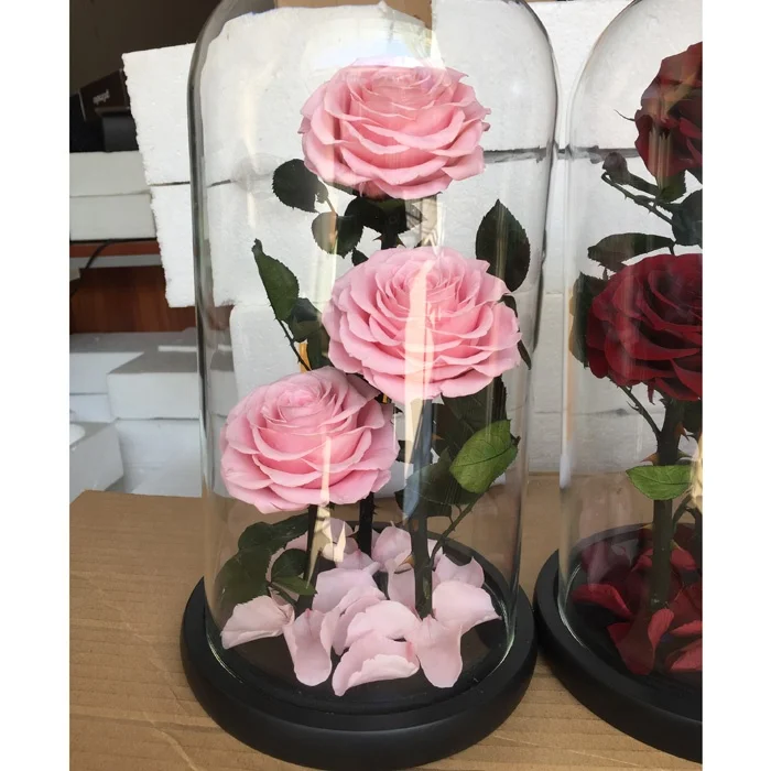 Натуральные тройные консервированные розы в стеклянном куполе в качестве подарка